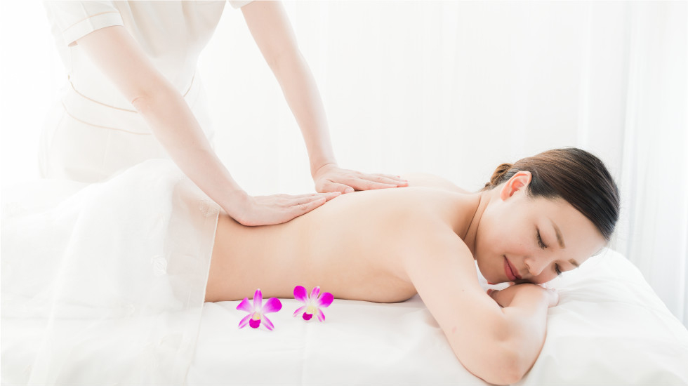 ウェブキャンペーンメニュー